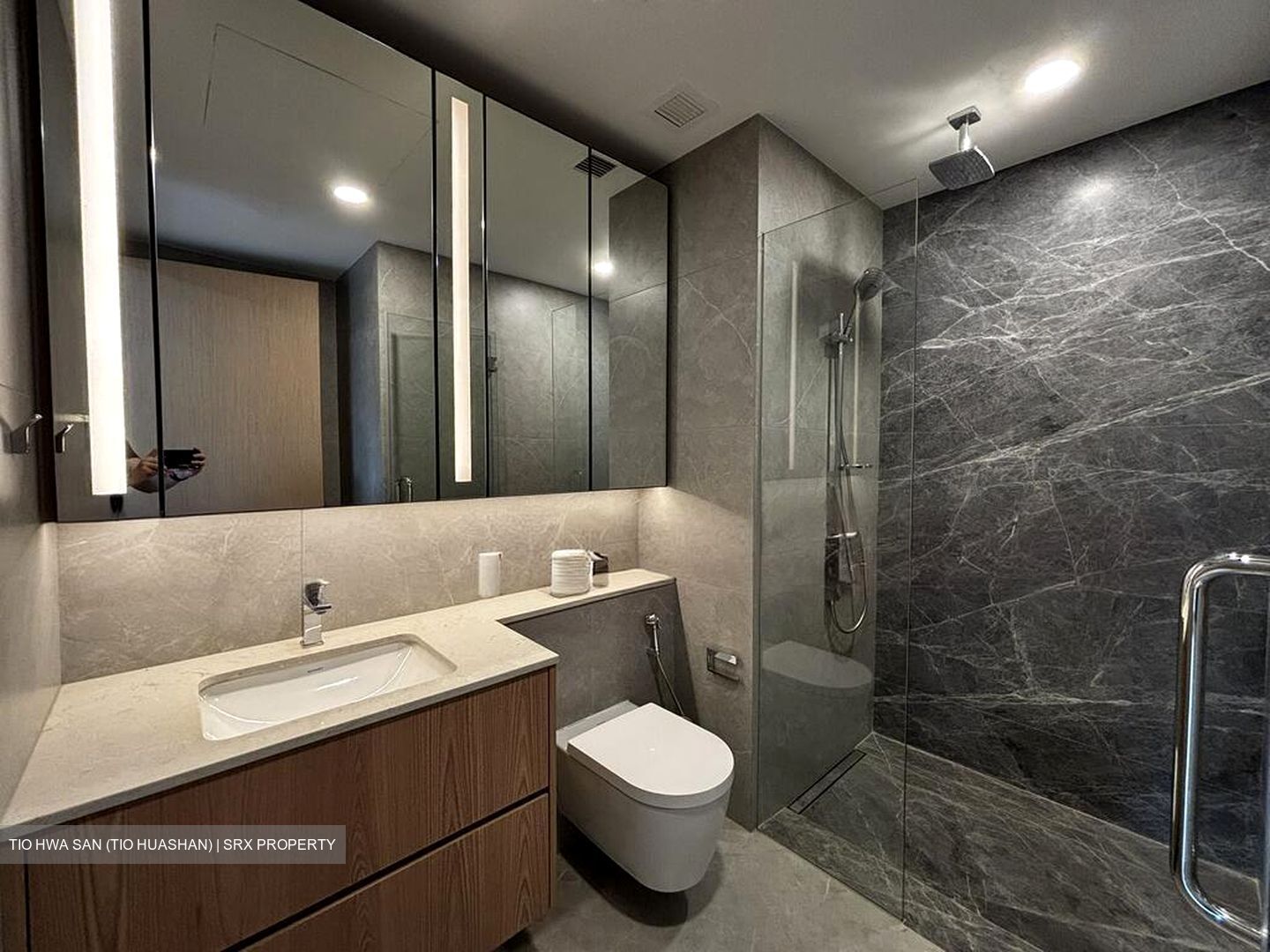 Peak Residence (D11), Condominium #519270321